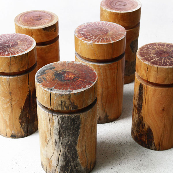 LifeSpaceJourney Log Stool